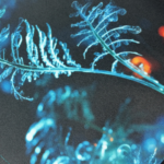 Taška – Různé vzory_mesto